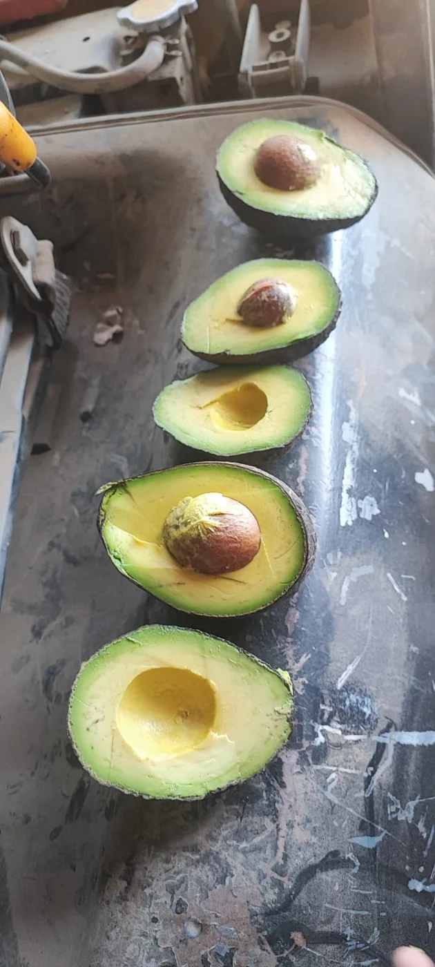 Paltas abiertas que muestran su pulpa verde y cremosa